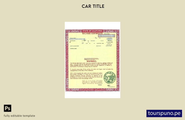 listo para imprimir certificado de salvamento de California de EE. UU. de una pl